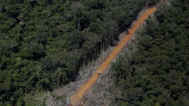Los Yanomami son víctimas de buscadores de oro; la CIDH pide al Estado de Brasil que los proteja