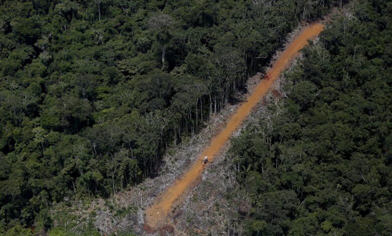 Los Yanomami son víctimas de buscadores de oro; la CIDH pide al Estado de Brasil que los proteja