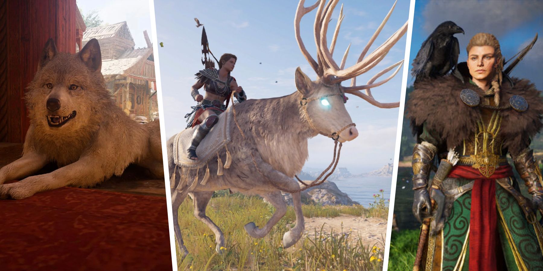 Los mejores compañeros animales de Assassin's Creed Valhalla, clasificados