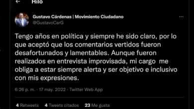 "Mejor (que los homosexuales) adopten perros, no niños": la postura de un diputado, que más tarde se disculpó