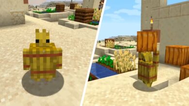Minecraft: cómo instalar (y usar) The Straw Golem Mod