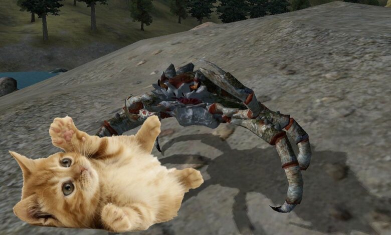 Morrowind Player Mods en Family Cat para proteger a los niños de Mudcrabs