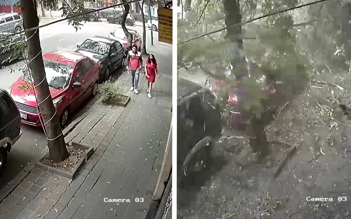 Pareja se salva de ser aplastada por un árbol; cayó por los fuertes vientos en la CDMX | Video