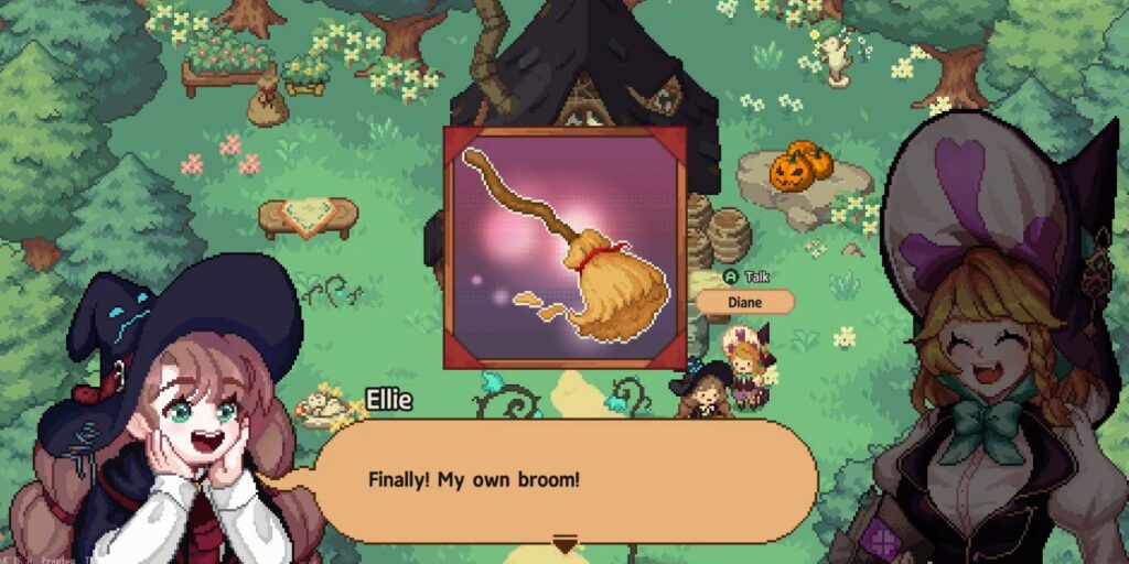 Pequeña bruja en el bosque: cómo conseguir una escoba