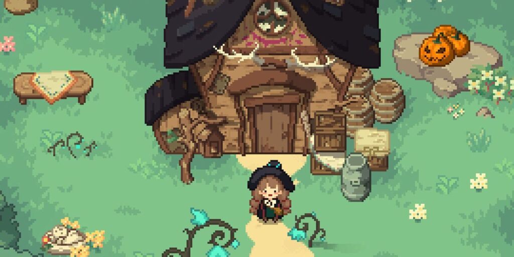 Pequeña bruja en el bosque: cómo obtener una red para insectos de bruja