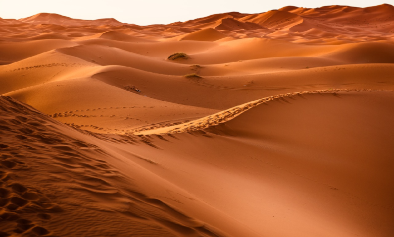 Polvo del desierto puede acelerar el deshielo: NASA investigará su impacto climático