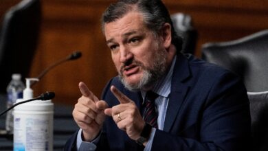 Ted Cruz evade pregunta sobre control de armas; EU es el lugar 'más seguro de la Tierra', dice