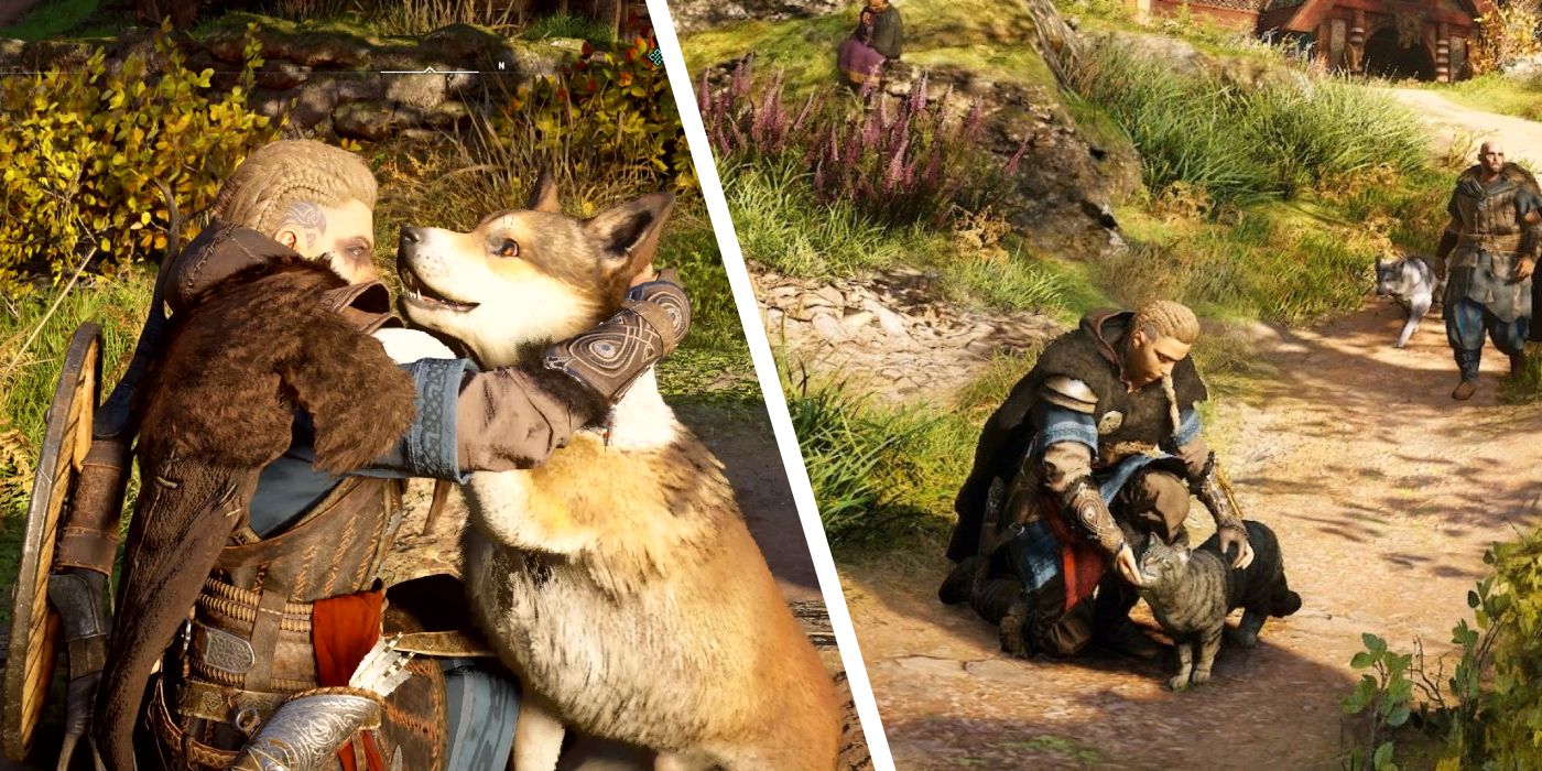 Todos los animales de AC Valhalla que puedes acariciar, clasificados