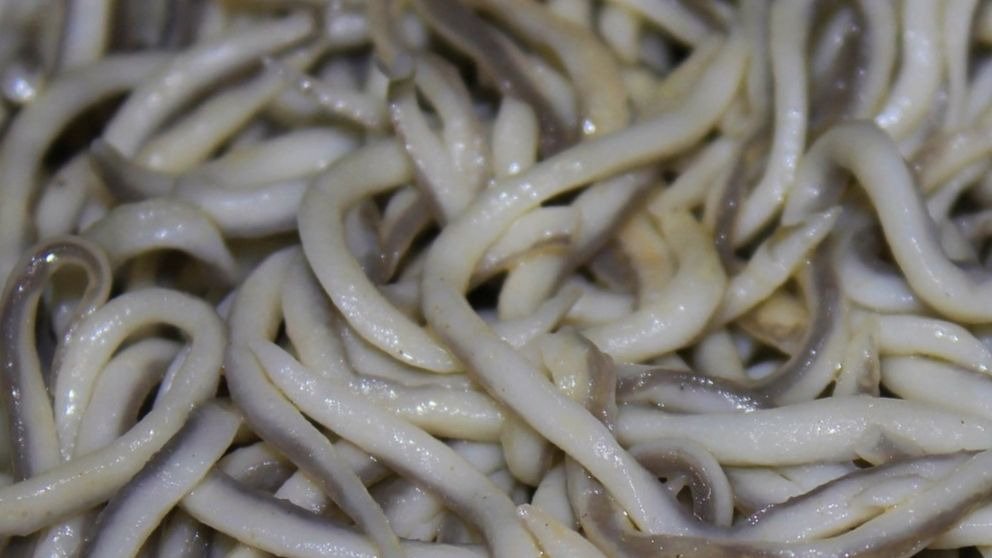 ¿Cómo se fabrican las gulas?