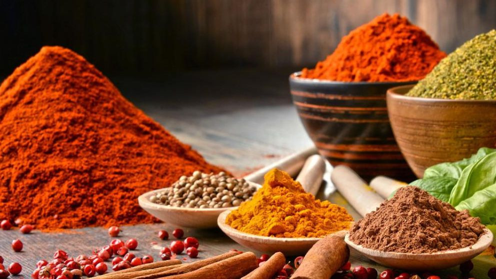 ¿Cuáles son los sabores primarios?