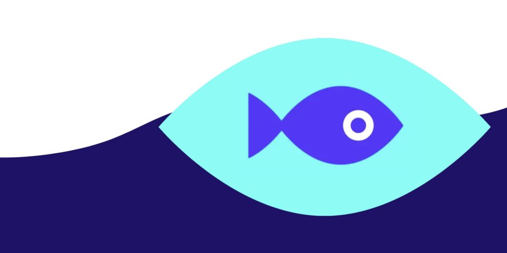 ¿Qué es la aplicación Fishbowl y cómo se usa?