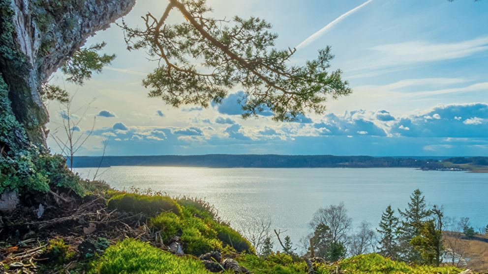 10 nombres de niña nórdicos para el 2020