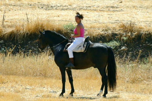 Isabel Pantoja en Cantora / Gtres