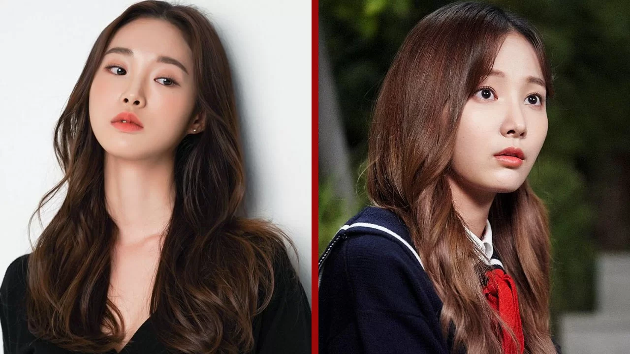 alguien-temporada-1-k-drama-kim-hae-lim alguien temporada 1 k drama kim hae lim