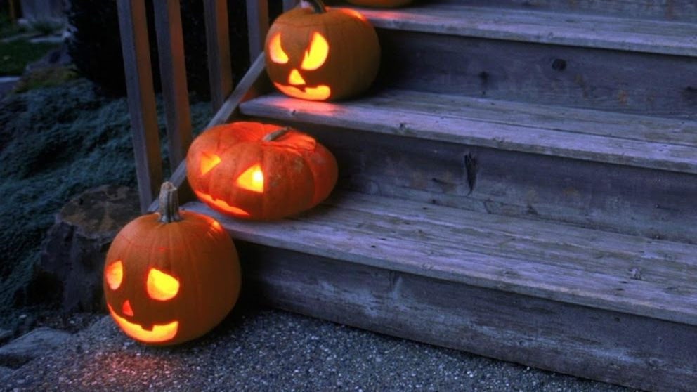 5 curisosidades de la calabaza de Halloween