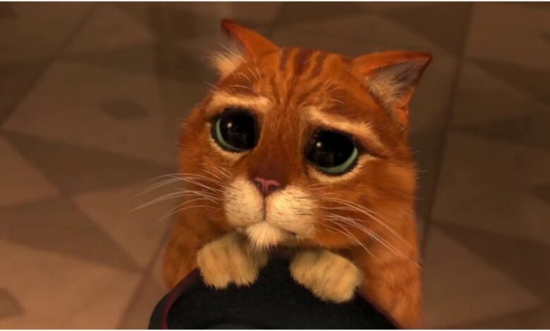Antonio Banderas se burla del gato con botas 2 es inesperadamente emocional