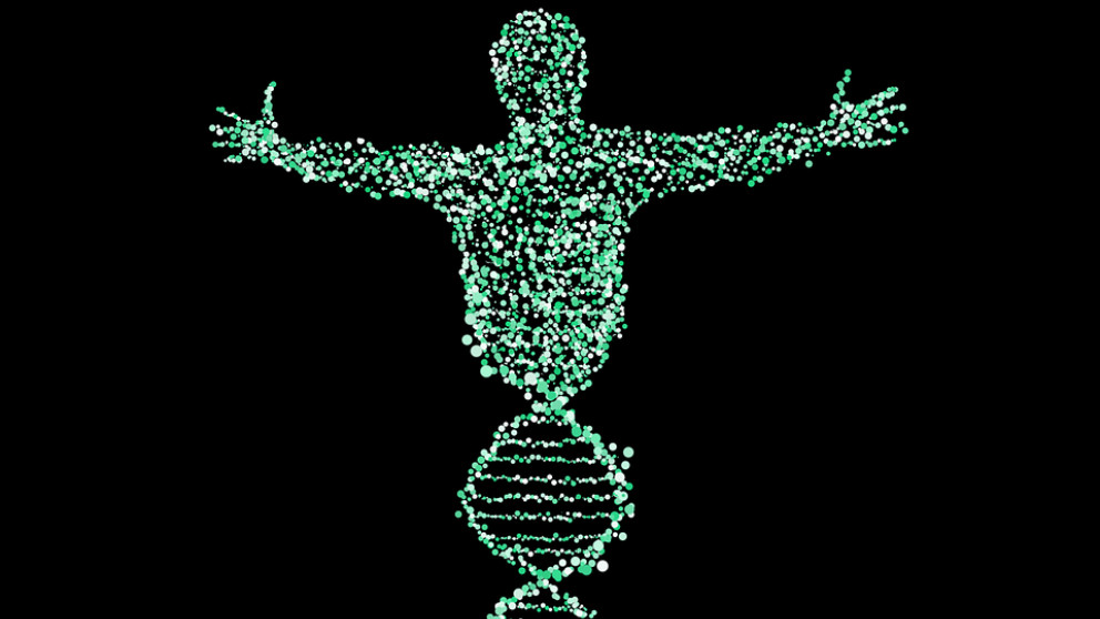 Aprende qué es el locus genético y cómo leerlo