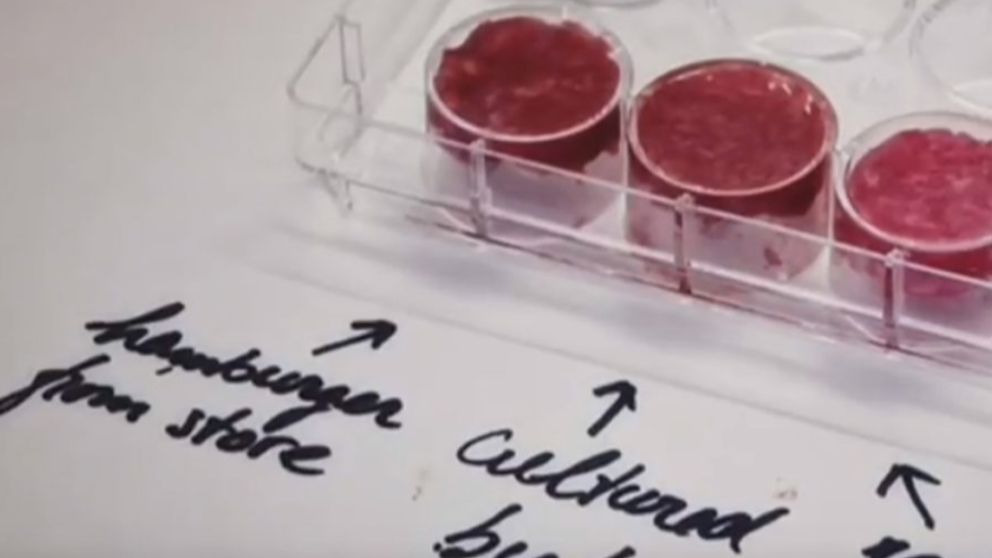 Así es el primer filete artificial del mundo