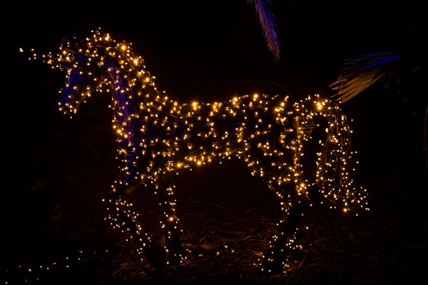 Así que tiene un múltiplo de ingresos de 380x, ¿ahora qué?