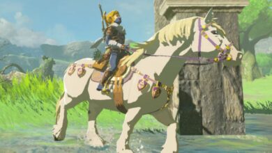 BOTW Glitch envía a caballo volando a mitad de camino a través del mapa de Hyrule