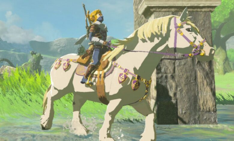 BOTW Glitch envía a caballo volando a mitad de camino a través del mapa de Hyrule