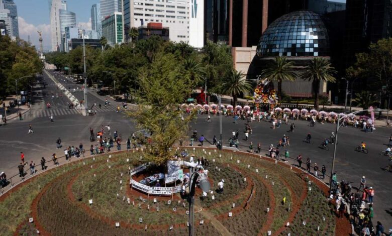 CDMX da la bienvenida al ahuehuete en Reforma... lo nombran el 'guardián' de los desaparecidos