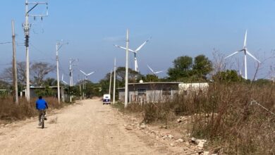 CFE cancela proyecto eólico 'Gunna Sicaru' en Oaxaca