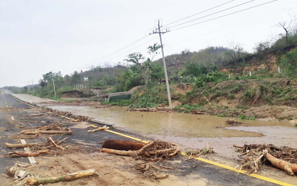CFE restablece electricidad a 63% de los afectados por el paso de 'Agatha' en Oaxaca y Veracruz