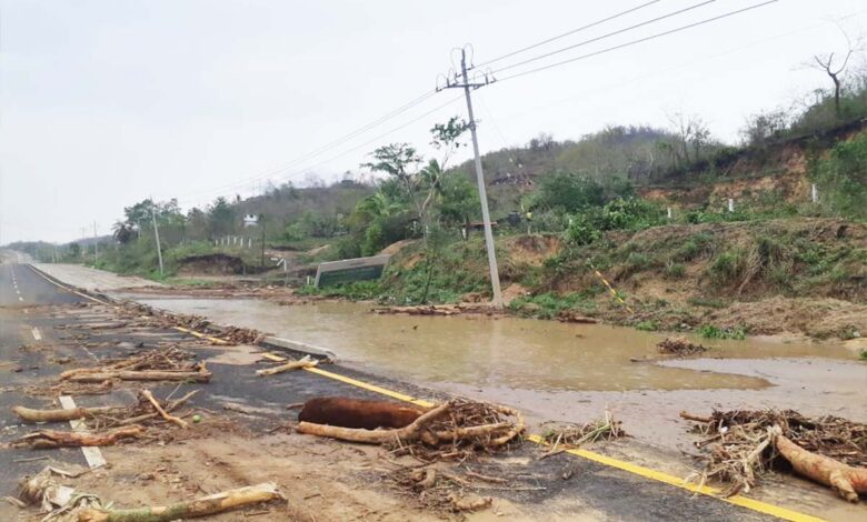 CFE restablece electricidad a 63% de los afectados por el paso de 'Agatha' en Oaxaca y Veracruz