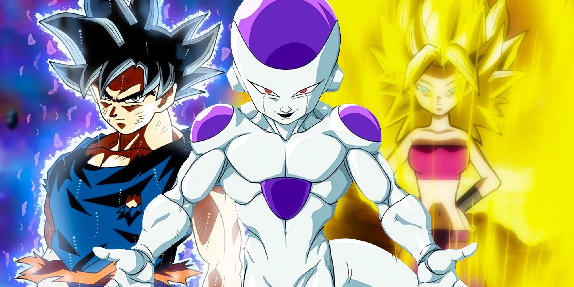 Cada historia de Dragon Ball Super El próximo proyecto puede continuar