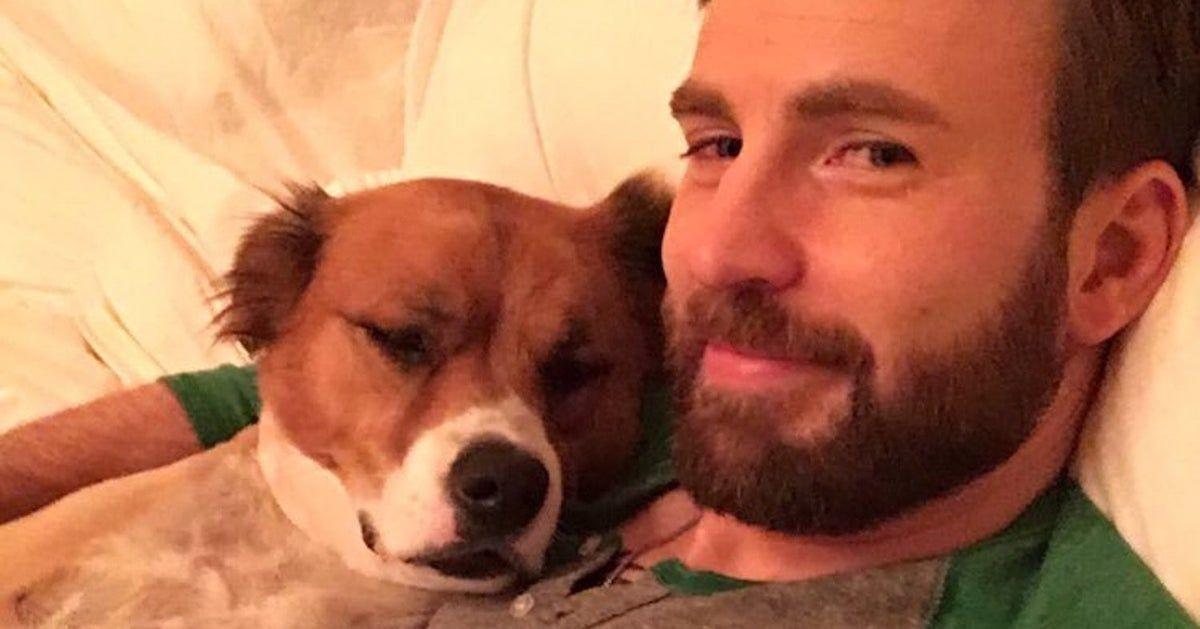 Chris Evans comparte vista previa de la entrevista de cachorro