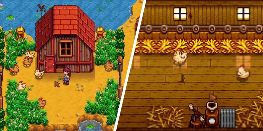 Cómo alimentar pollos en Stardew Valley