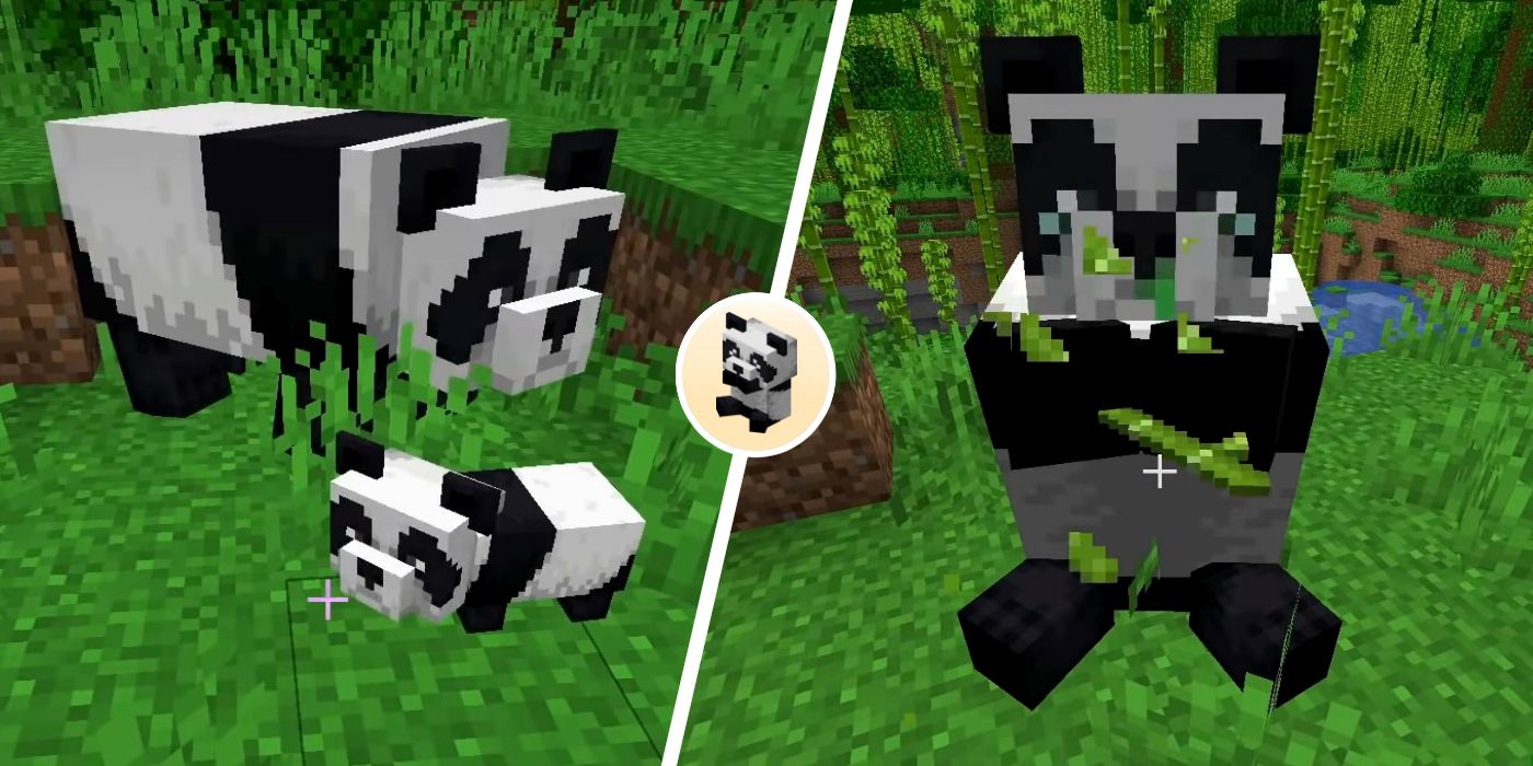Cómo criar pandas en Minecraft