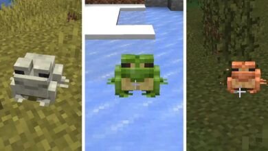 Cómo generar ranas frías, templadas o cálidas en Minecraft