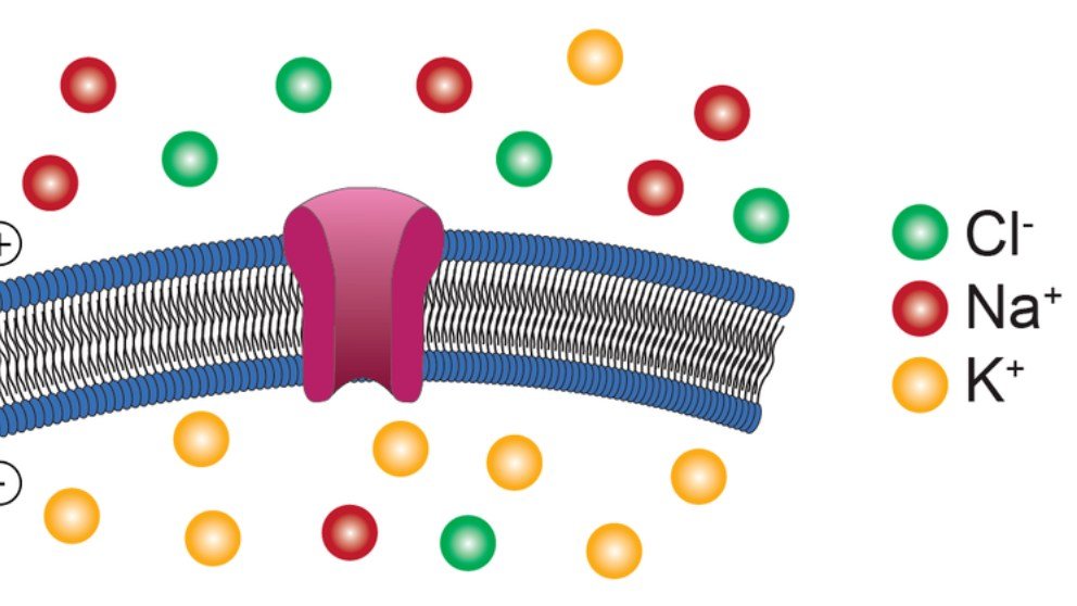 Cuál es el proceso de formación de un ion