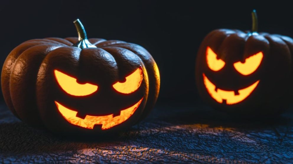 Curiosidades de la Calabaza: ¡Feliz Halloween!