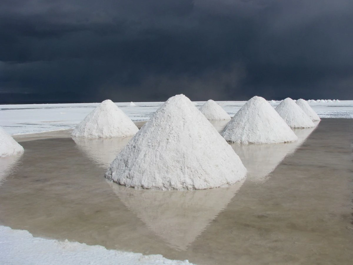 Despidos y sospechas: el proceso de selección de las empresas que explotarán el litio en Bolivia