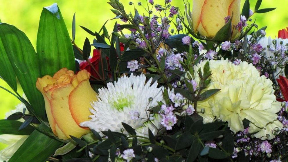 Día Mundial de la Protección de la Naturaleza, ¿Por qué se celebra este día?