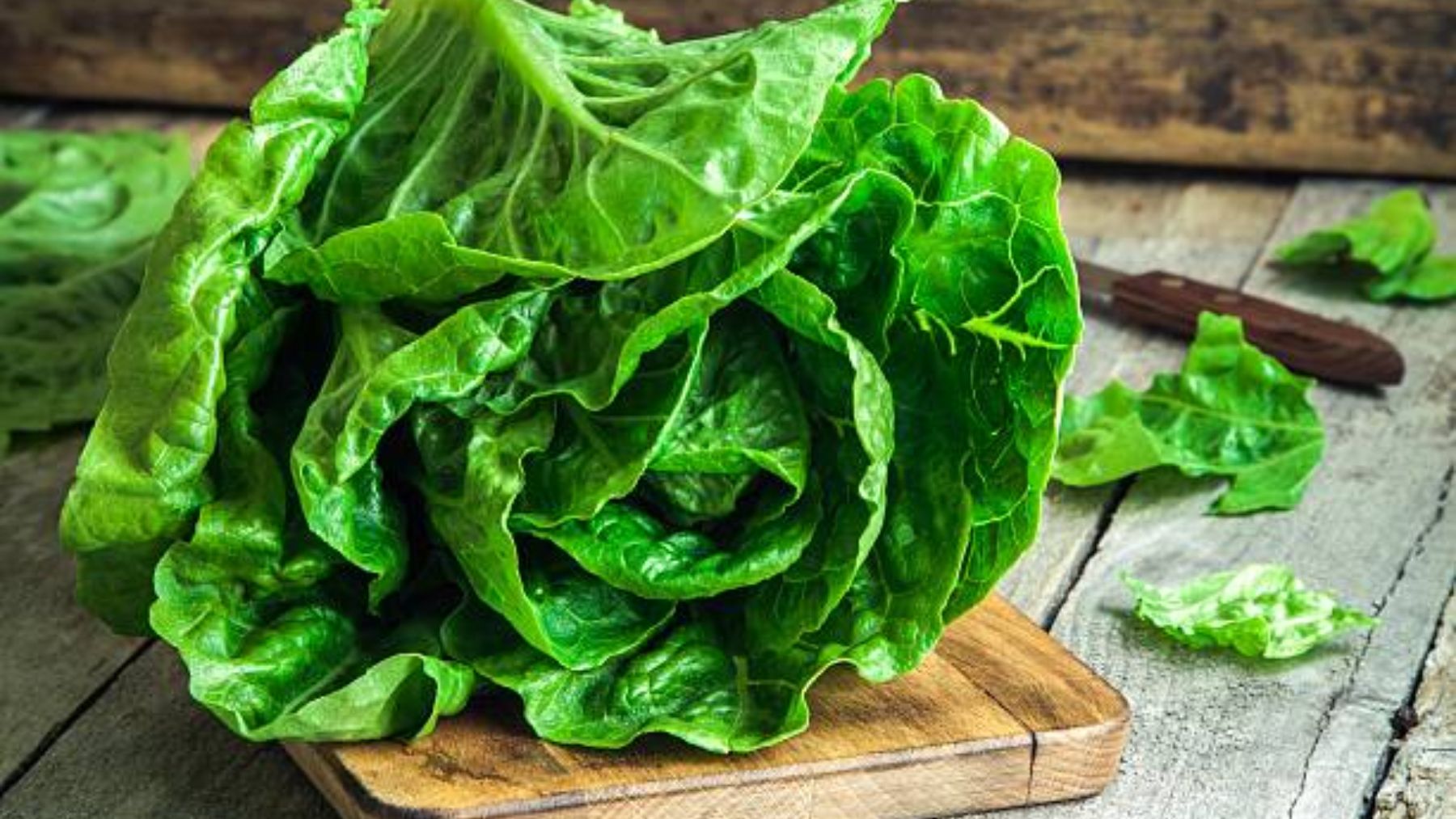 Diferencia entre la lechuga iceberg y la romana y cuál tiene menos carbohidratos