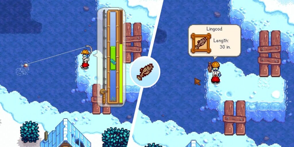 Dónde encontrar (y atrapar) Lingcod en Stardew Valley