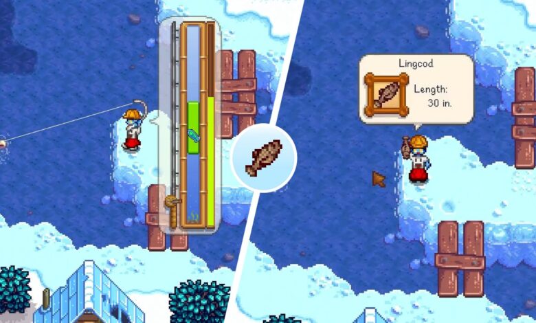 Dónde encontrar (y atrapar) Lingcod en Stardew Valley