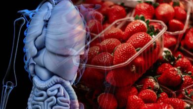 EU y Canadá investigan brote de hepatitis A ligado a fresas importadas de México