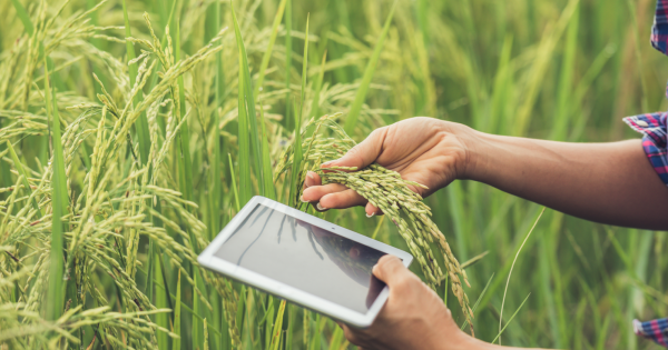 El Gobierno invirtió millones en empresas de Salta: que pasó