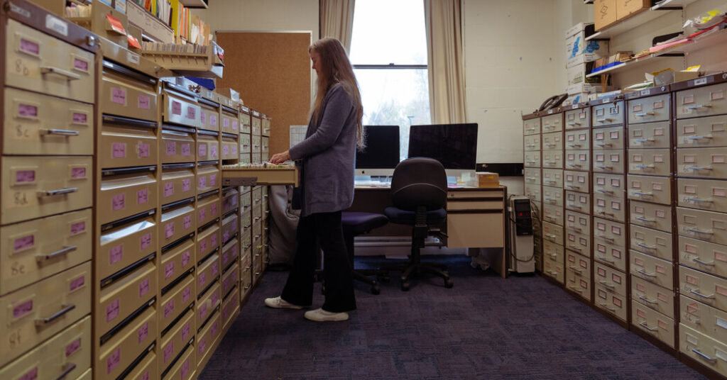 El 'Hard Yakka' de la definición de muchas peculiaridades del inglés australiano