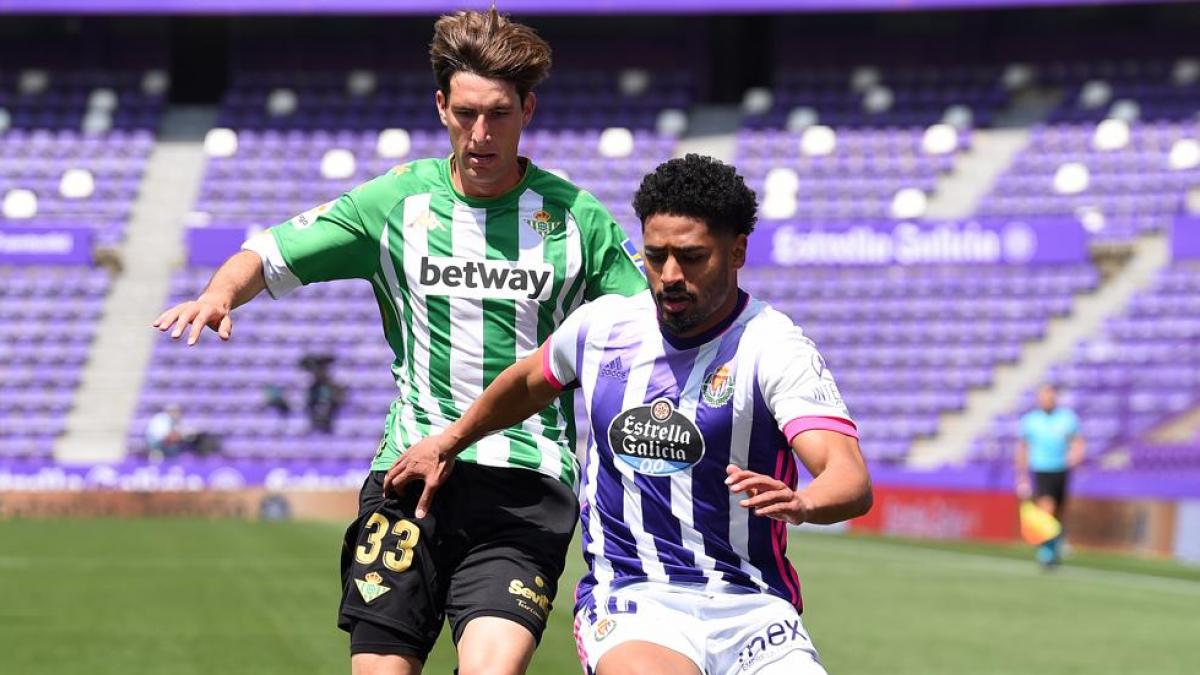 El Valladolid cede a Janko al Bochum