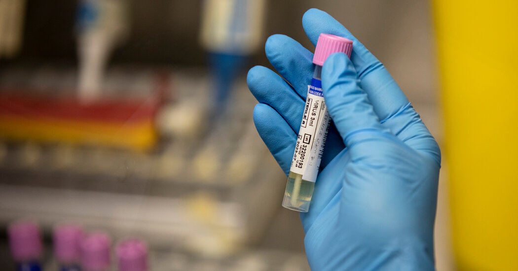 El brote de viruela del mono plantea un "riesgo real" para la salud pública, dice un funcionario de la OMS