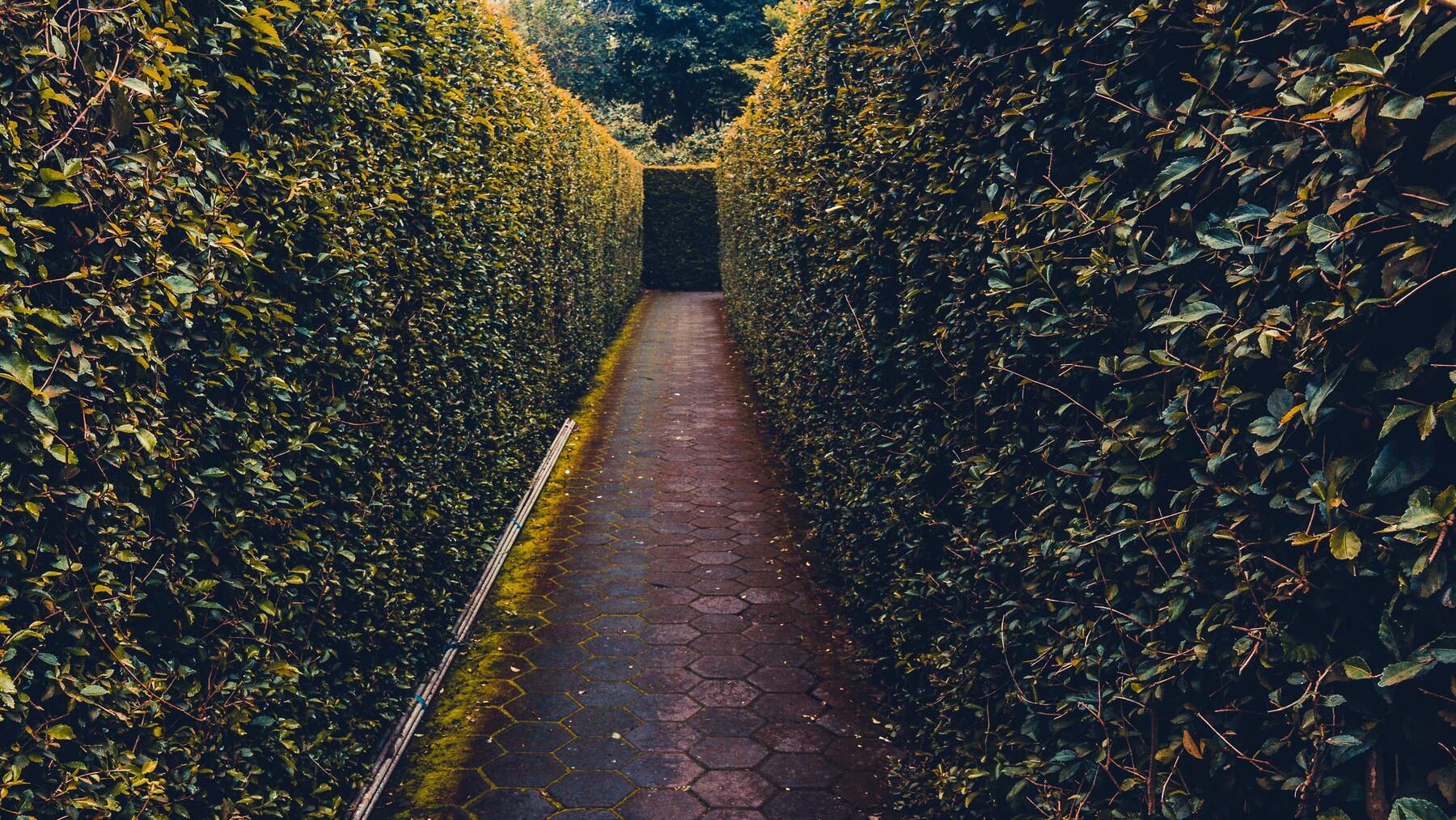 El impresionante laberinto de España para pasar una tarde en familia
