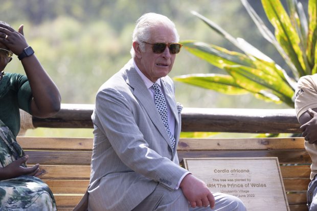 El príncipe Carlos paseando / Gtres