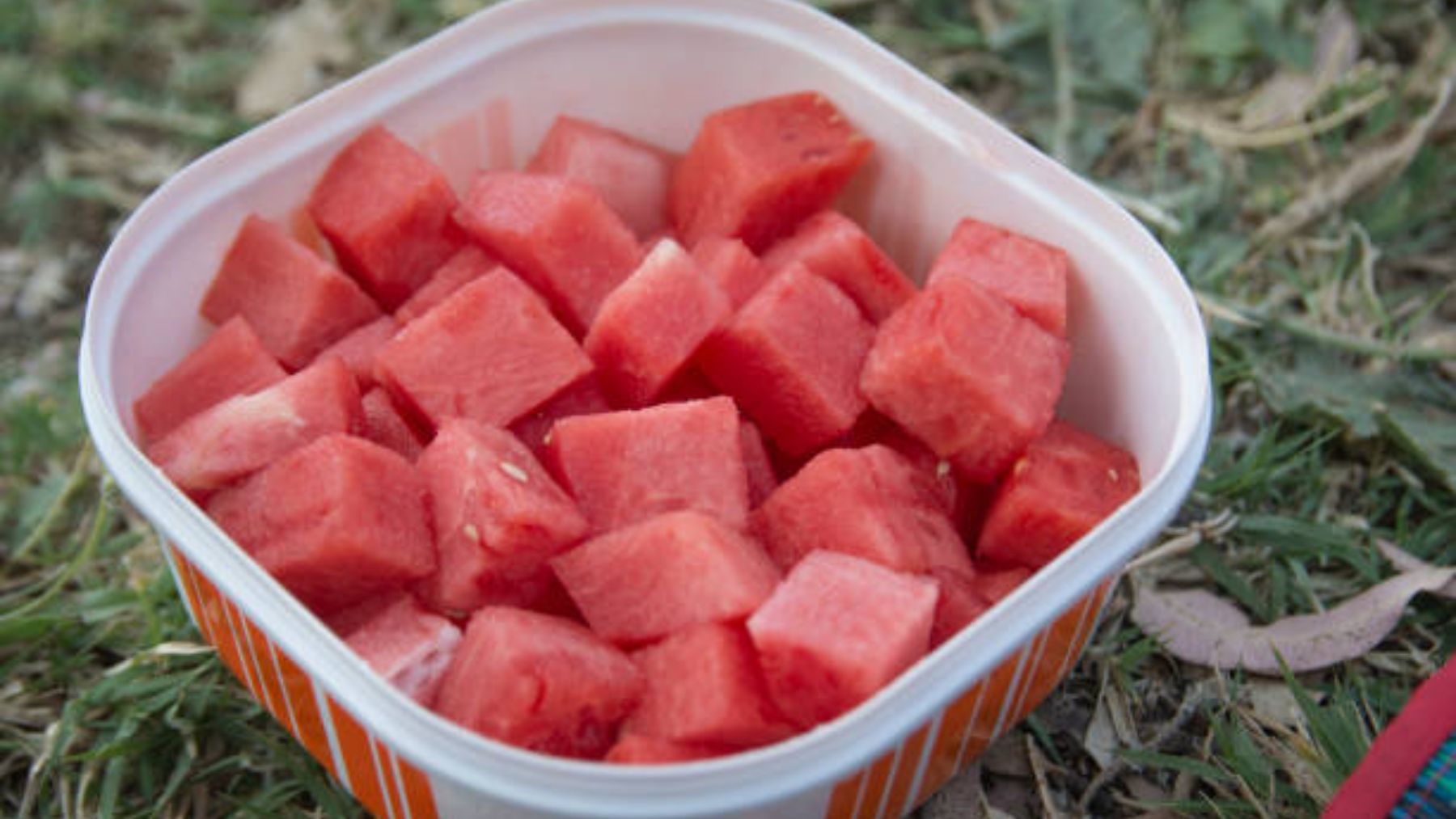 El truco para cortar la sandía y que nos quepa en cualquier táper