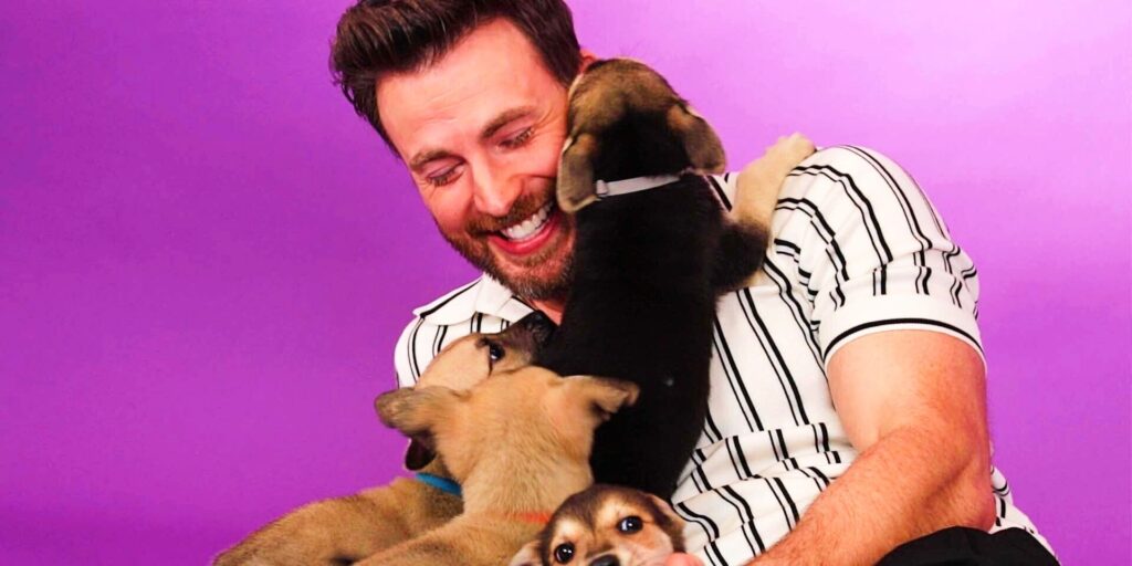 Entrevista al cachorro de Chris Evans: Míralo intentar y fallar al responder preguntas